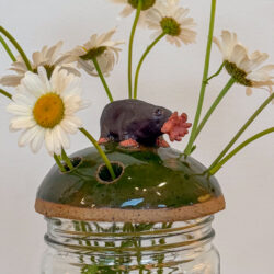 Star-nosed Mole