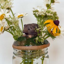 Masked Shrew