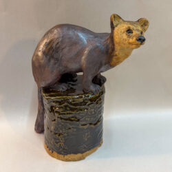 Pine Marten
