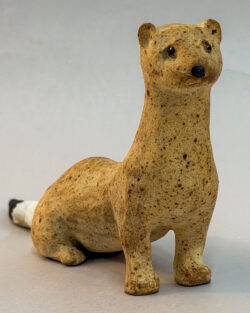Short-tailed Weasel