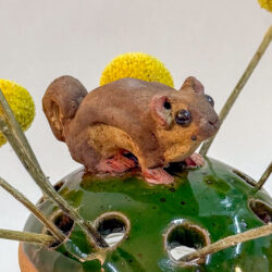 Flying Squirrel