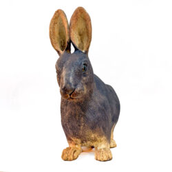 Snowshoe Hare