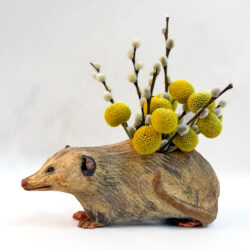 Opossum