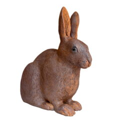 New England Cottontail