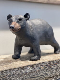 Black Bear