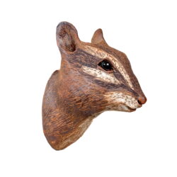 Eastern Chipmunk