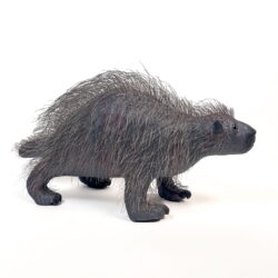 Porcupine