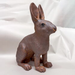 Snowshoe Hare